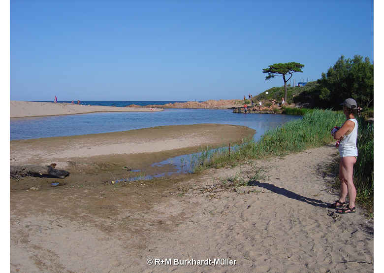 L'embouchement du Cavu