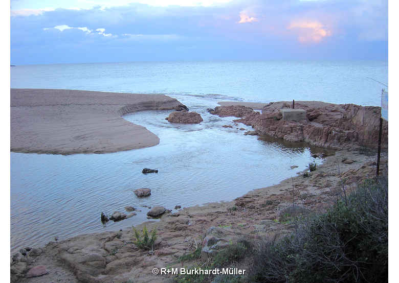 Embouchure du cavu dans la mer