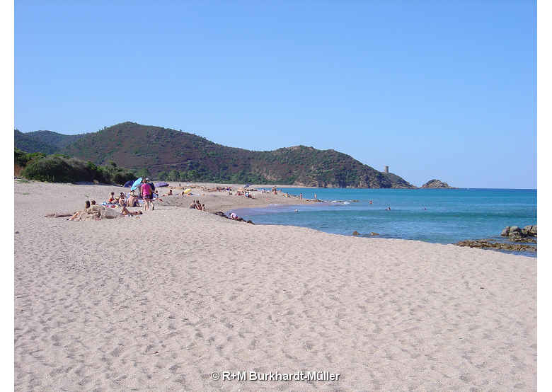 Vue vers le nord de la plage près du maison