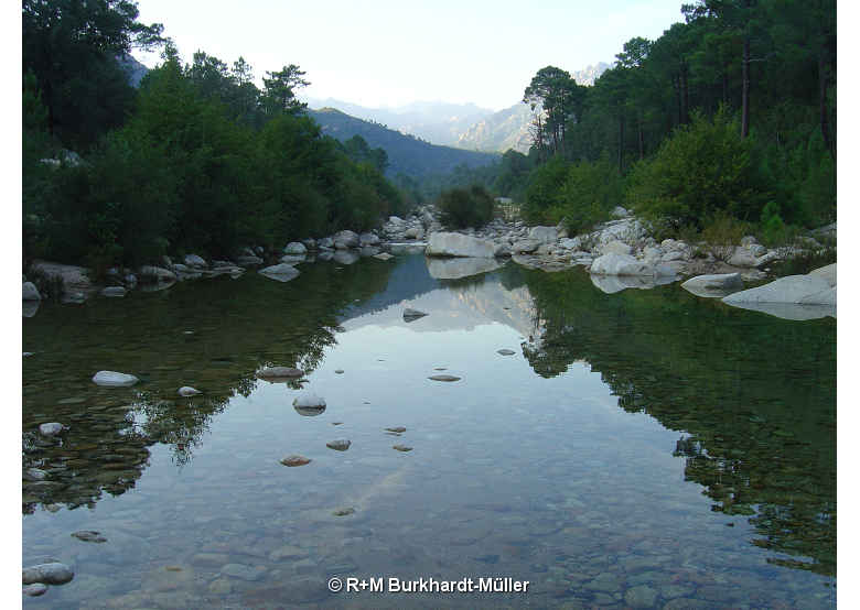 Le vallé du Cavu